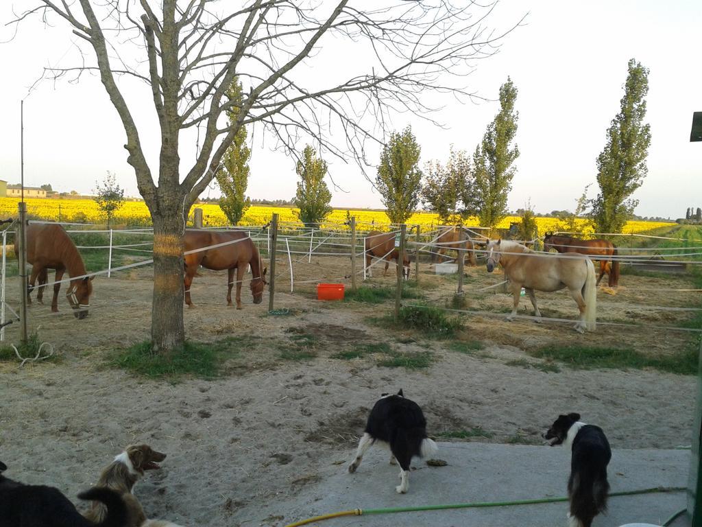 Valle Rillo Agriturismo Villa Comacchio Esterno foto