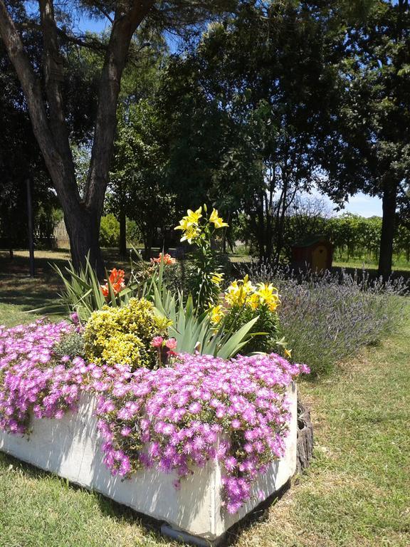 Valle Rillo Agriturismo Villa Comacchio Esterno foto