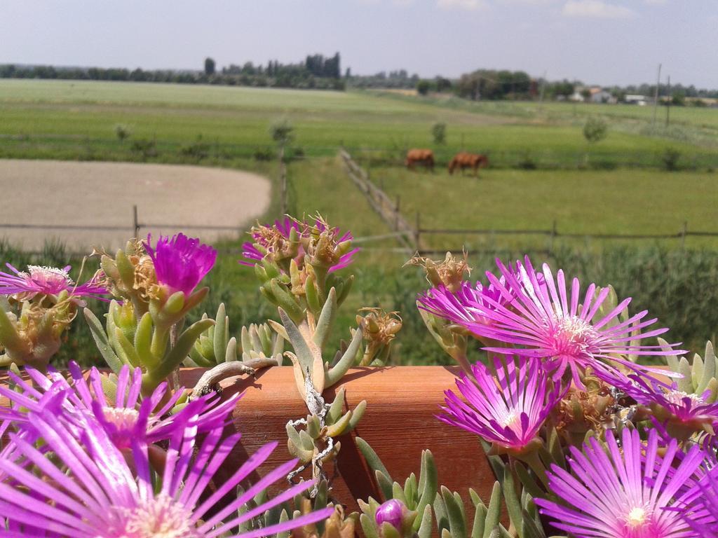 Valle Rillo Agriturismo Villa Comacchio Esterno foto