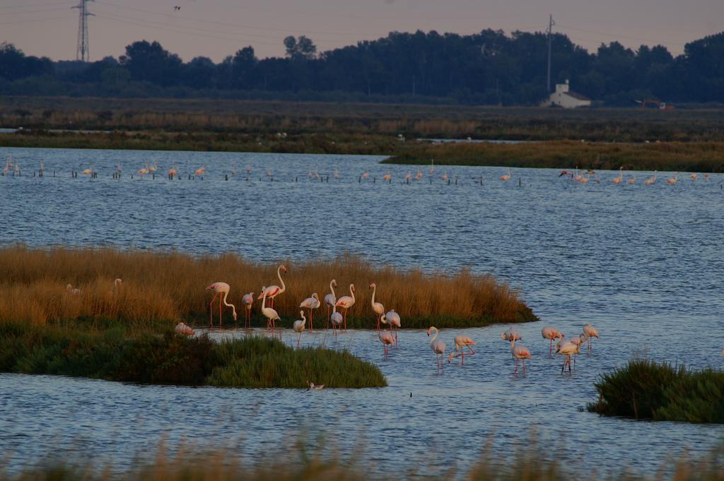 Valle Rillo Agriturismo Villa Comacchio Esterno foto