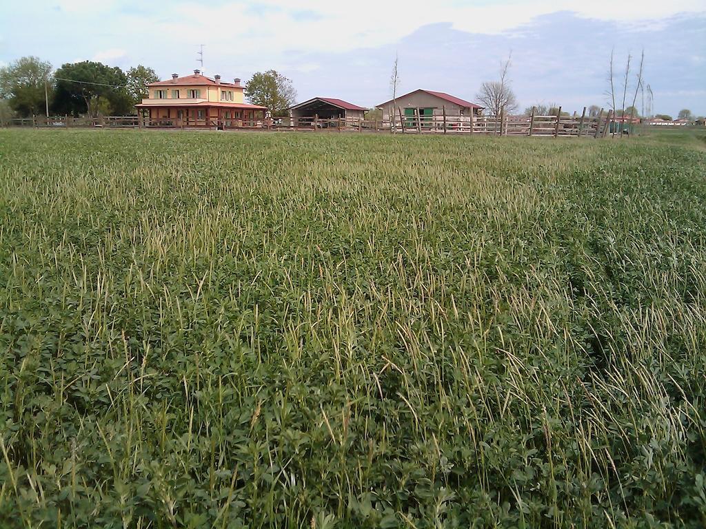 Valle Rillo Agriturismo Villa Comacchio Esterno foto