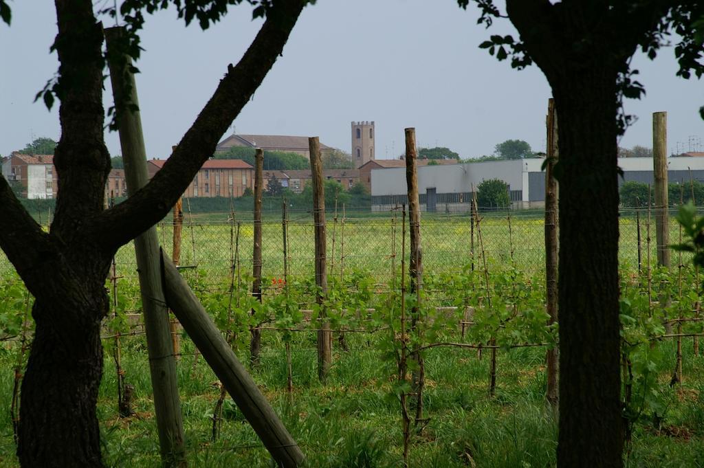 Valle Rillo Agriturismo Villa Comacchio Esterno foto